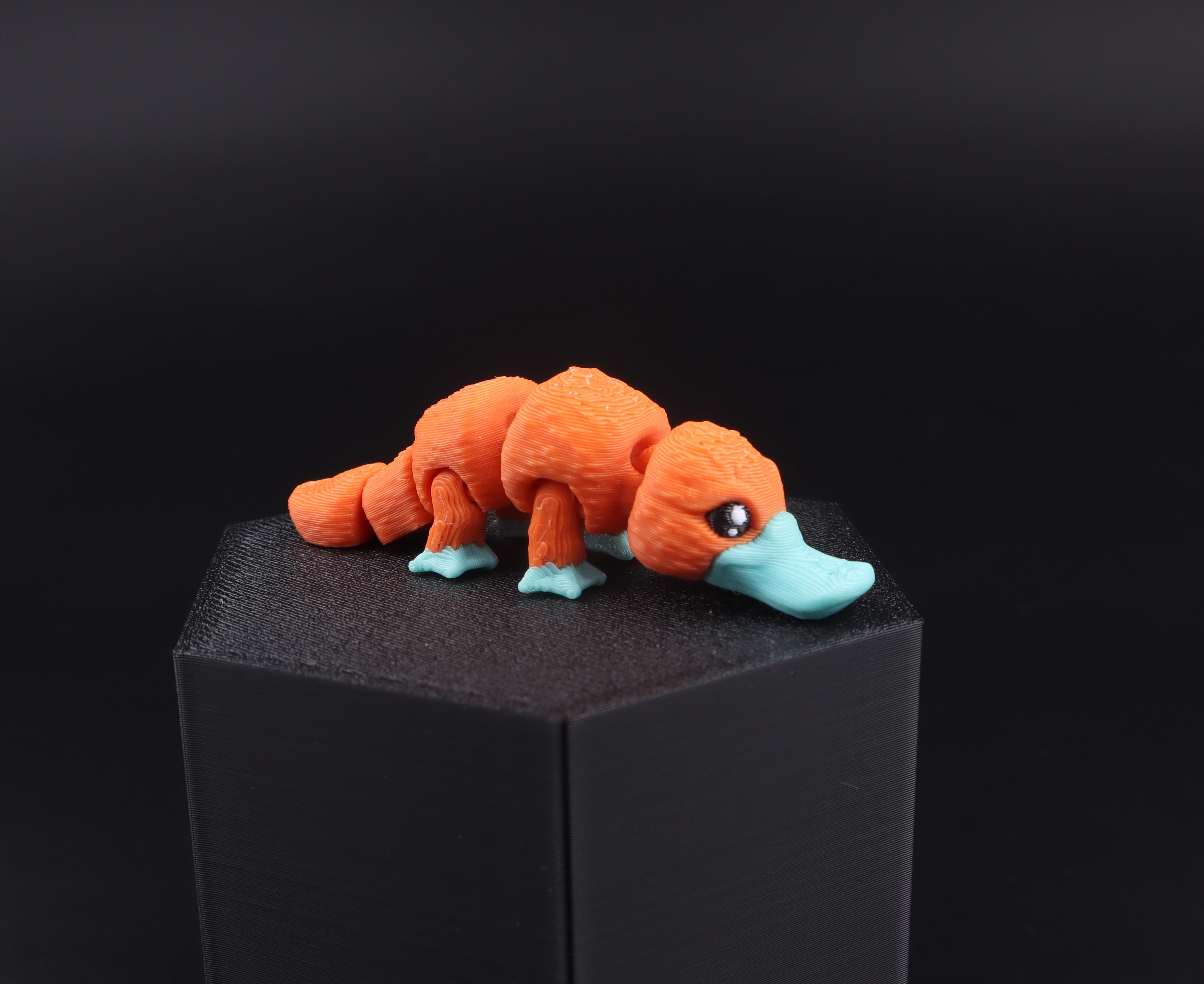 Mini Water Animal Fidget Toy Pack (20 items)