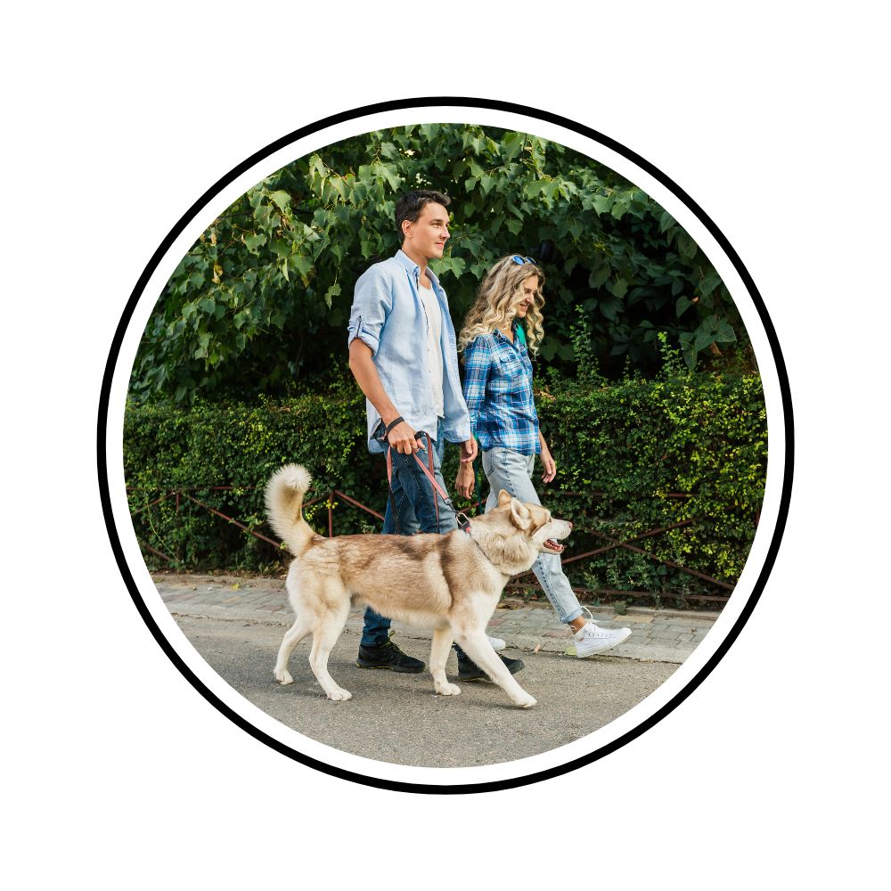 A circular photo print or sticker featuring a couple walking a husky dog on a leash along a paved path with green hedges and trees in the background. The circular image is centered on a plain white field with a thin black border.