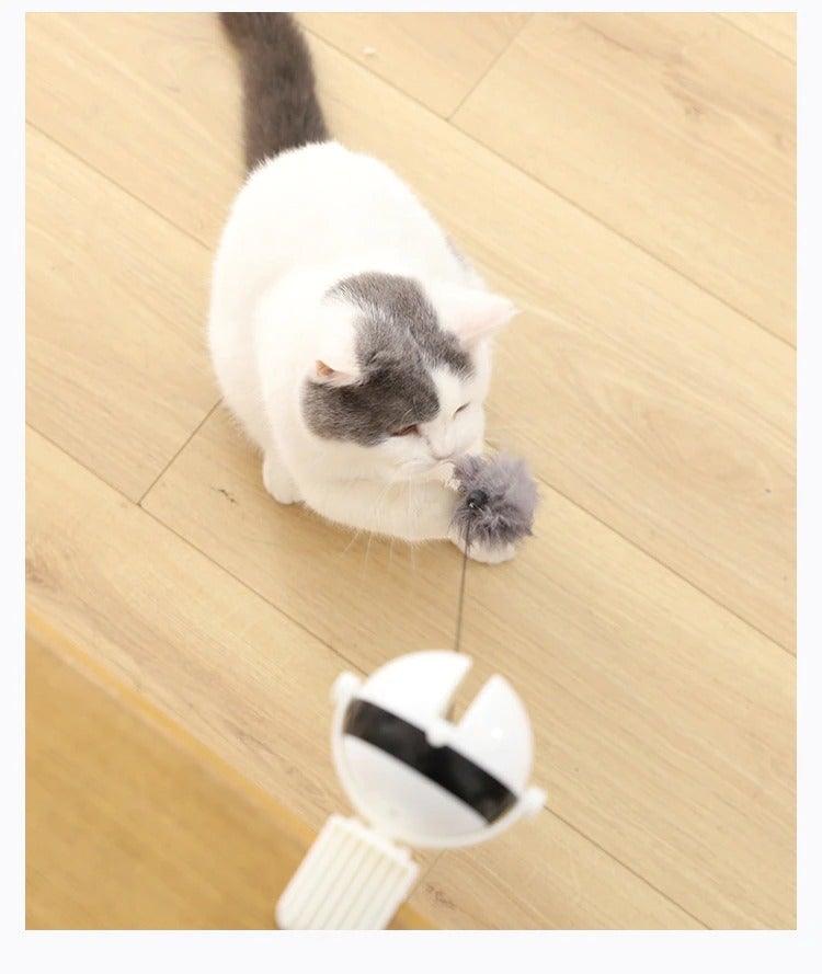 Automatic Motion Cat Teaser Ball Exercise Toy