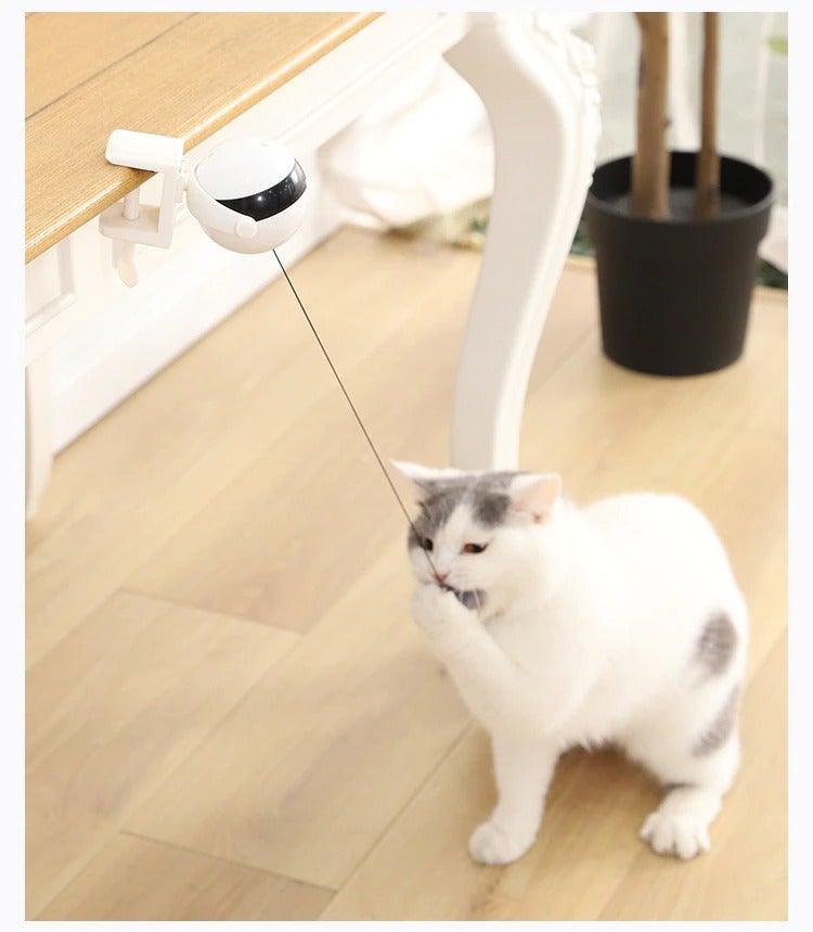 Automatic Motion Cat Teaser Ball Exercise Toy