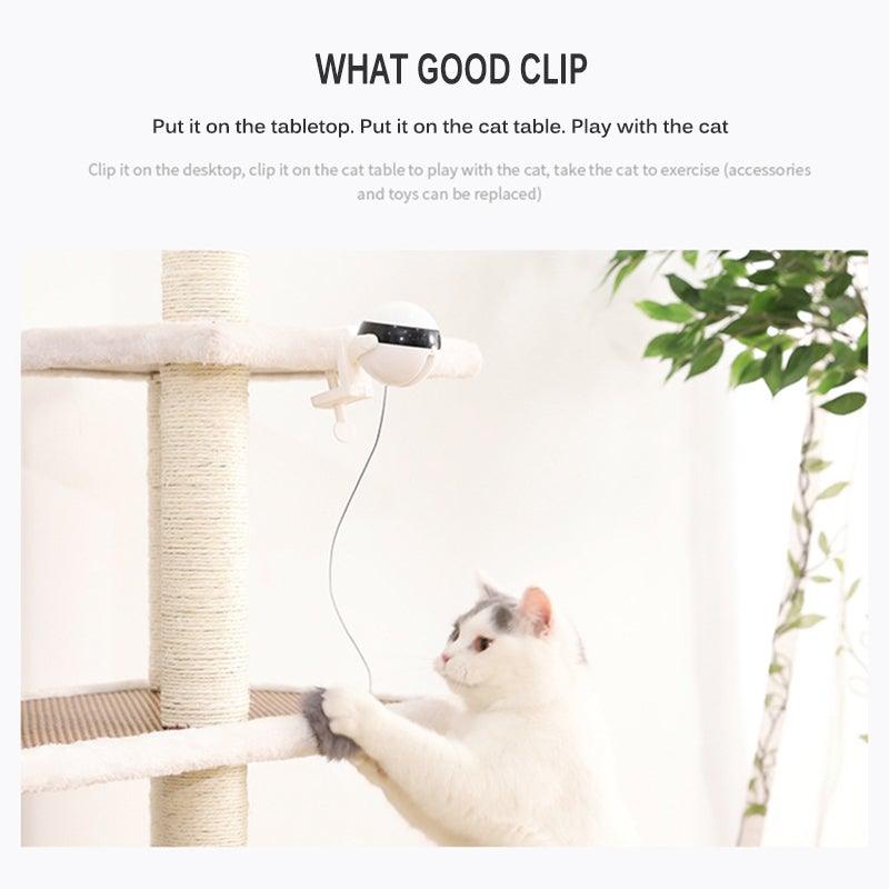 Automatic Motion Cat Teaser Ball Exercise Toy
