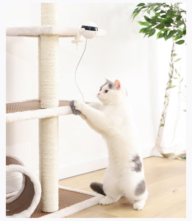 Automatic Motion Cat Teaser Ball Exercise Toy
