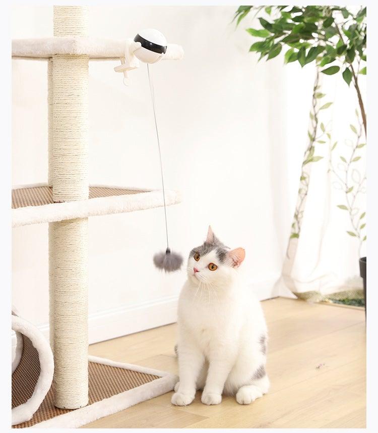 Automatic Motion Cat Teaser Ball Exercise Toy