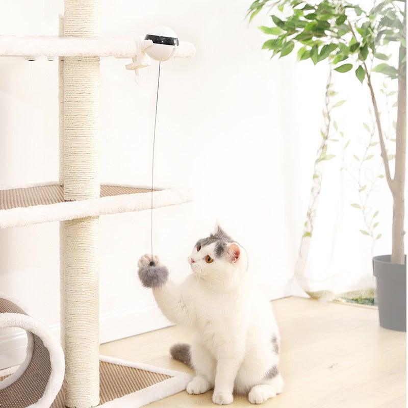 Automatic Motion Cat Teaser Ball Exercise Toy
