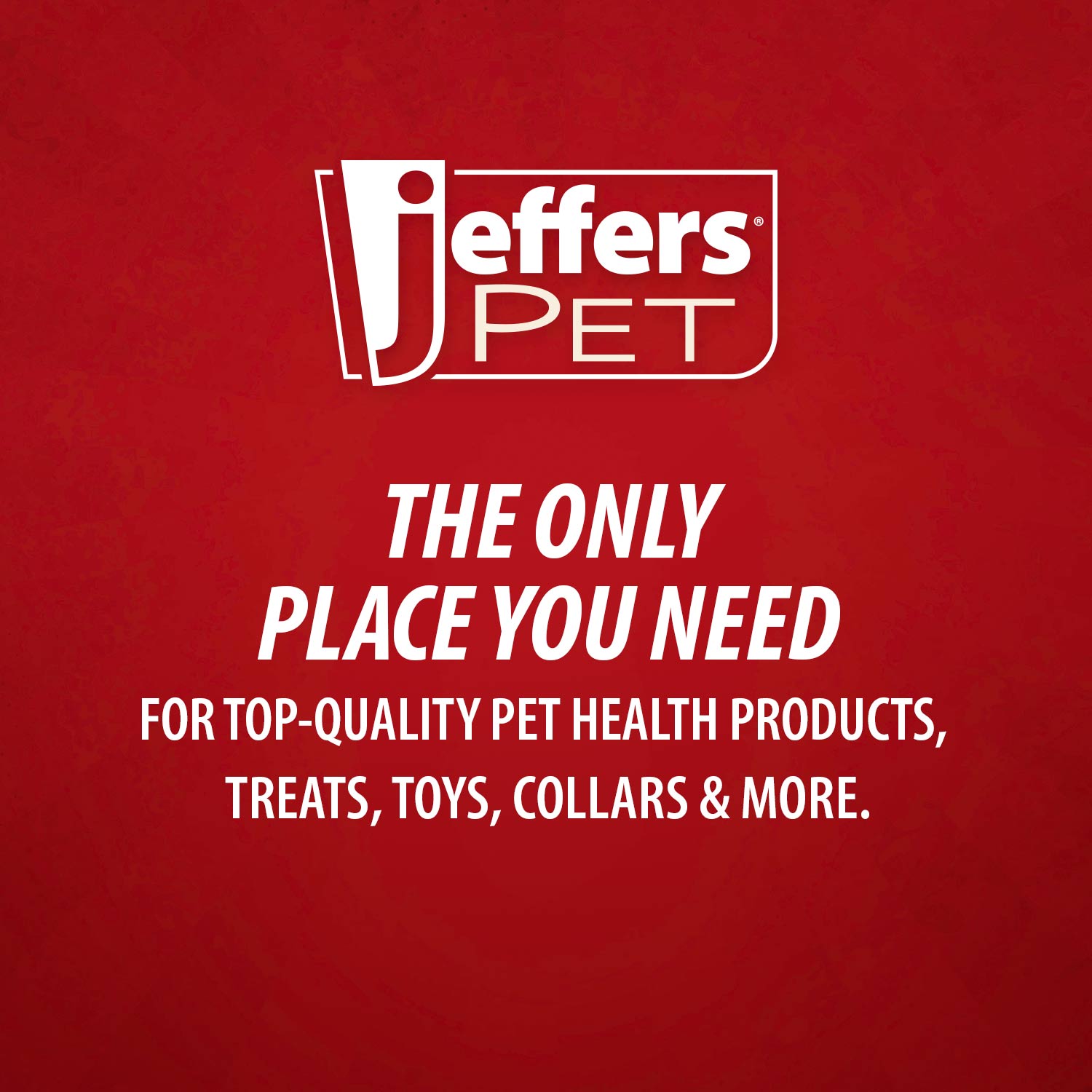 Jeffers Magic Spring Undercoat Rake for Pet Grooming
