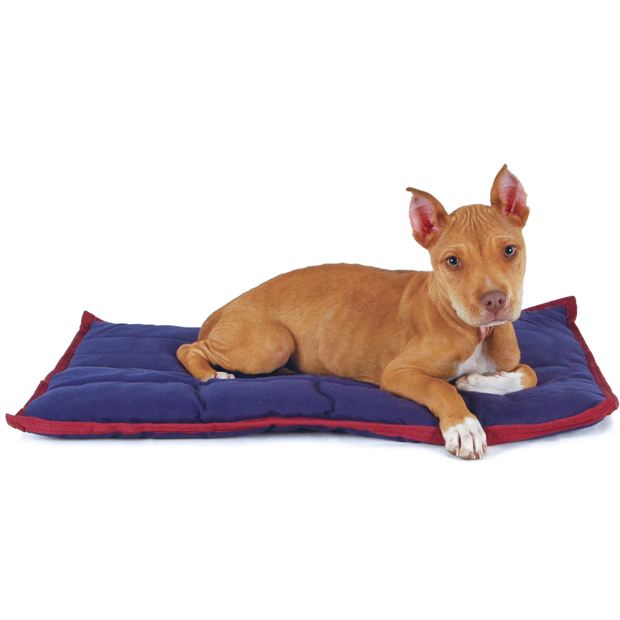 Jeffers Washable Comfy Dog Pillow