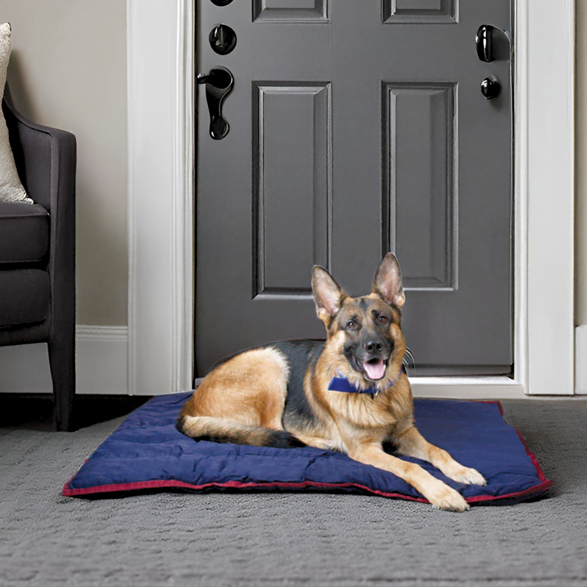 Jeffers Washable Comfy Dog Pillow