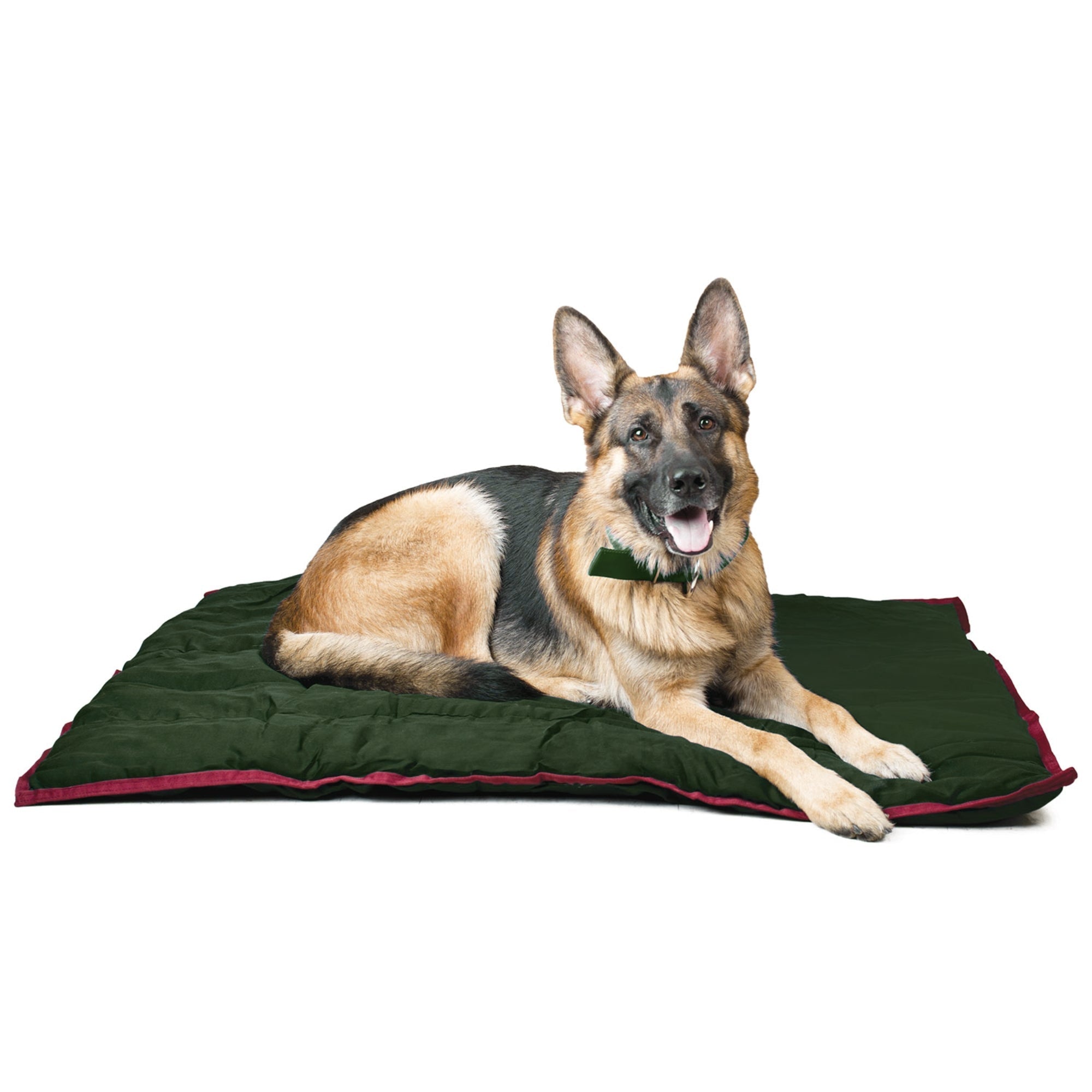 Jeffers Washable Comfy Dog Pillow