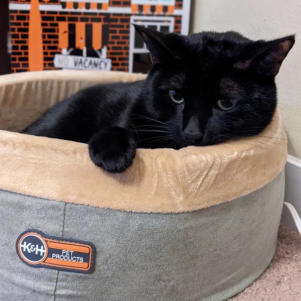 K&H Thermo-Kitty Heated Cat Bed